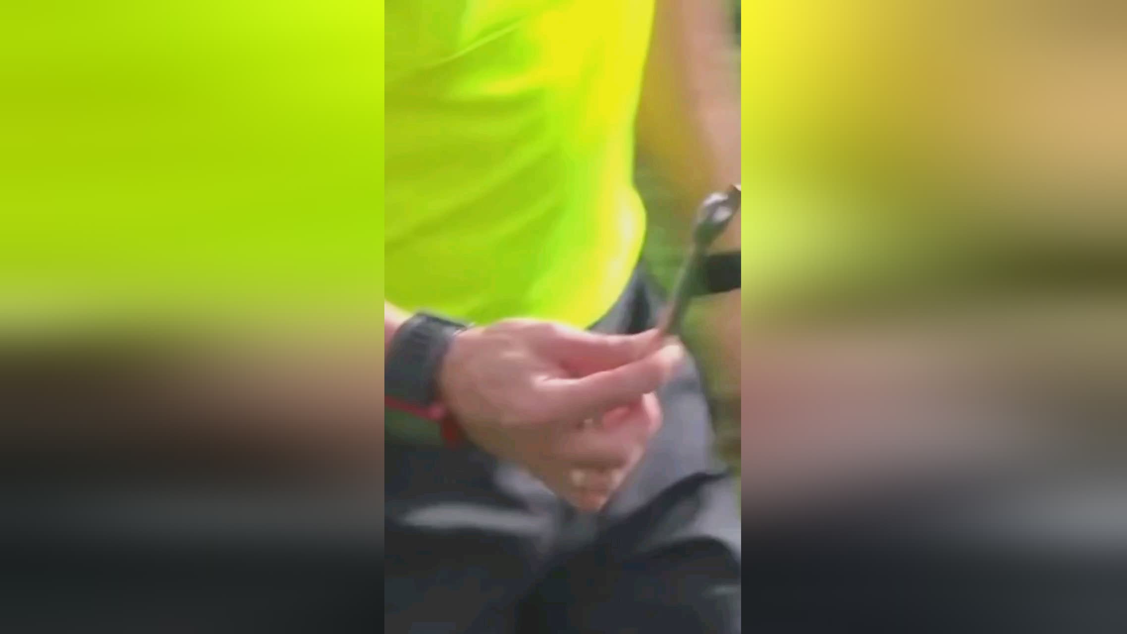 中他